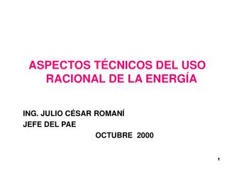 ASPECTOS TÉCNICOS DEL USO RACIONAL DE LA ENERGÍA ING. JULIO CÉSAR ROMANÍ JEFE DEL PAE