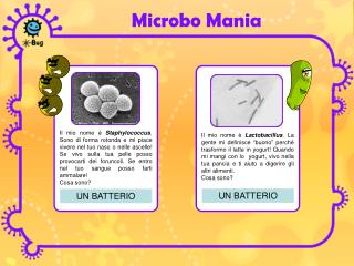 Microbo Mania