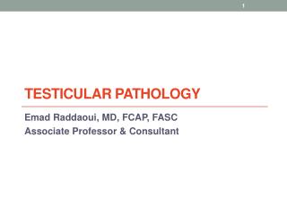 Testicular Pathology