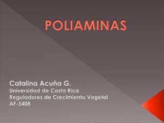 POLIAMINAS