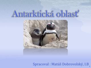 Antarktická oblasť