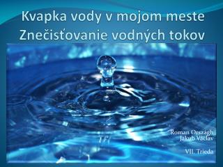 Kvapka vody v mojom meste Znečisťovanie vodných tokov