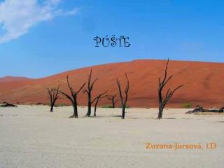 PÚŠTE