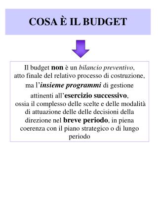 COSA È IL BUDGET