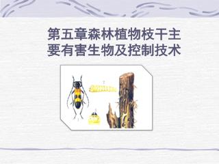 第五章森林植物枝干主要有害生物及控制技术