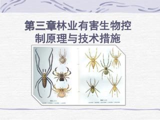 第三章 林业有害生物控制原理与技术措施