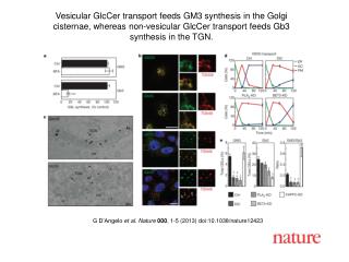 G D’Angelo et al. Nature 000 , 1-5 (2013) doi:10.1038/nature12423