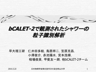 bCALET-2 で観測されたシャワーの 粒子識別解析