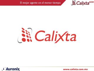 ¿Qué es Calixta?