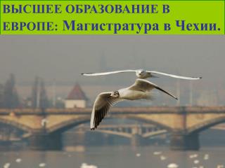 ВЫСШЕЕ ОБРАЗОВАНИЕ В ЕВРОПЕ: Магистратура в Чехии.