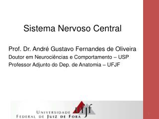 Sistema Nervoso Central Prof. Dr. André Gustavo Fernandes de Oliveira
