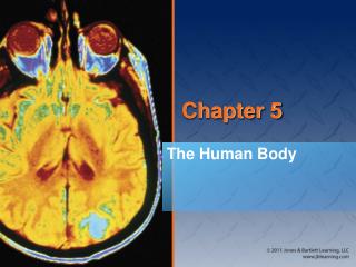 Chapter 5