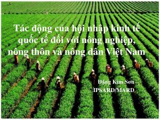 T ác động của hội nhập kinh tế quốc tế đối với nông nghiệp , nông thôn và nông dân Việt Nam