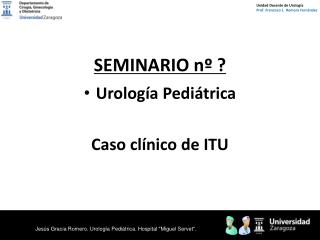 SEMINARIO nº ?