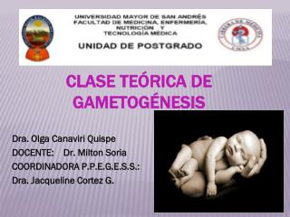 CLASE TEÓRICA DE GAMETOGÉNESIS