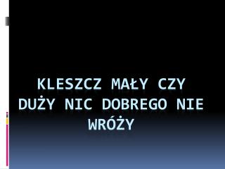 Kleszcz mały czy duży nic dobrego nie wróży