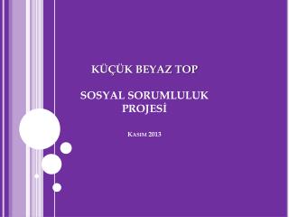 KÜÇÜK BEYAZ TOP SOSYAL SORUMLULUK PROJESİ Kasım 2013