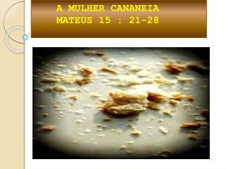 A MULHER CANANEIA MATEUS 15 : 21-28