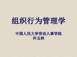 组织行为管理学 中国人民大学劳动人事学院 许玉林