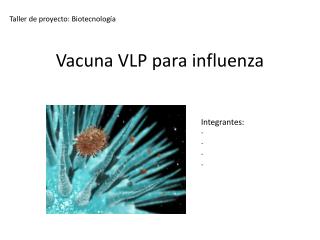 Vacuna VLP para influenza