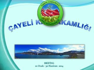 ÇAYELİ KAYMAKAMLIĞI