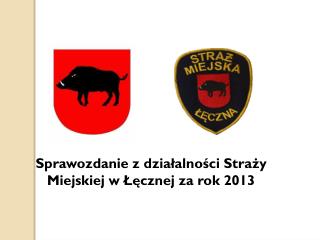 Sprawozdanie z działalności Straży Miejskiej w Łęcznej za rok 2013