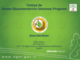 Türkiye’de Orman Ekosistemlerinin İzlenmesi Programı