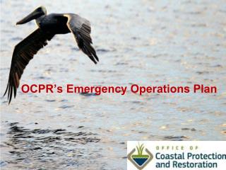 OCPR’s Emergency Operations Plan