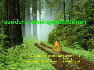 องค์ประกอบหลักสูตร สถานศึกษา