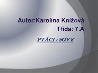 Ptáci : Sovy