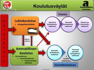Koulutusväylät