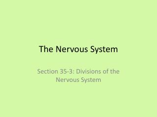 The Nervous System