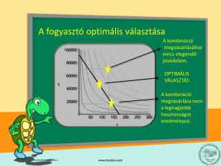 A fogyasztó optimális választása