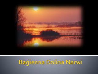 Bagienna Dolina Narwi