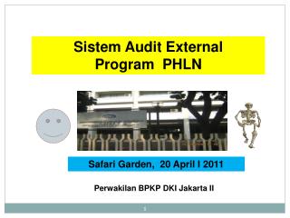 Sistem Audit External Program PHLN