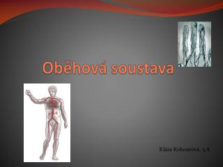 Oběhová soustava