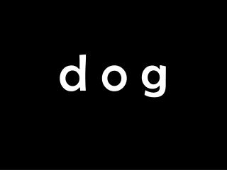 d o g