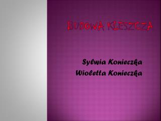 Budowa Kleszcza