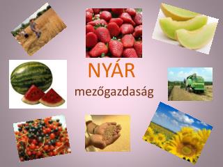 NYÁR