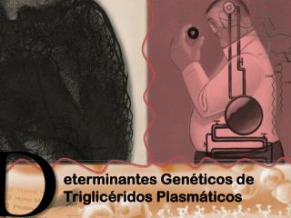 eterminantes Genéticos de Triglicéridos Plasmáticos