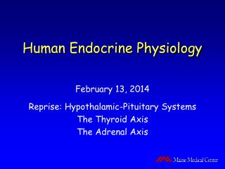 Human Endocrine Physiology