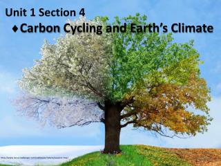 Unit 1 Section 4  Carbon Cycling and Earth’s Climate