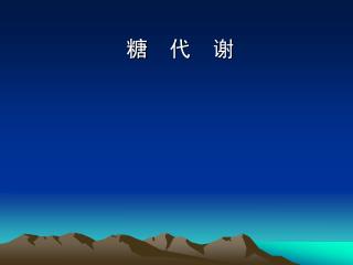 糖 代 谢