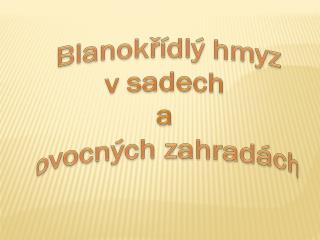 Blanokřídlý hmyz v sadech a ovocných zahradách