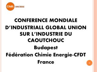 CONFERENCE MONDIALE D’INDUSTRIALL GLOBAL UNION SUR L’INDUSTRIE DU CAOUTCHOUC Budapest
