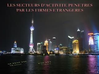LES SECTEURS D’ACTIVITE PENETRES PAR LES FIRMES ETRANGERES