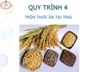 QUY TRÌNH 4