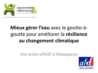 Mieux gérer l’eau avec le goutte-à-goutte pour améliorer la résilience au changement climatique