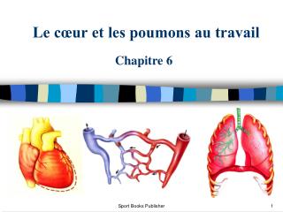 Le cœur et les poumons au travail