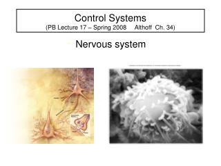 Control Systems (PB Lecture 17 – Spring 2008 Althoff Ch. 34)